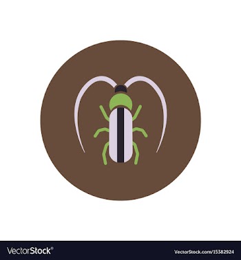 Stylish icon in color circle beetle barbel vector image