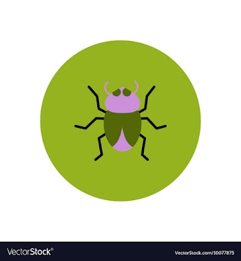 Stylish icon in color circle beetle insect vector image