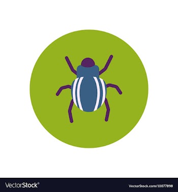 Stylish icon in color circle beetle insect vector image