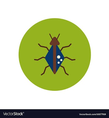 Stylish icon in color circle beetle insect vector image