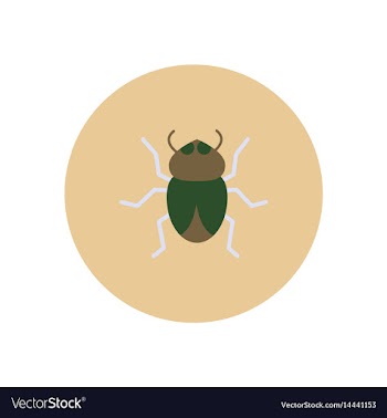 Stylish icon in color circle beetle insect vector image