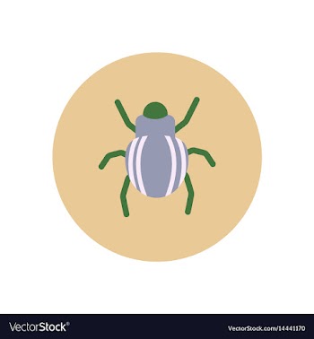Stylish icon in color circle beetle insect vector image