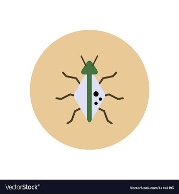 Stylish icon in color circle beetle insect vector image