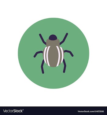 Stylish icon in color circle beetle insect vector image