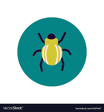 Stylish icon in color circle beetle insect vector image