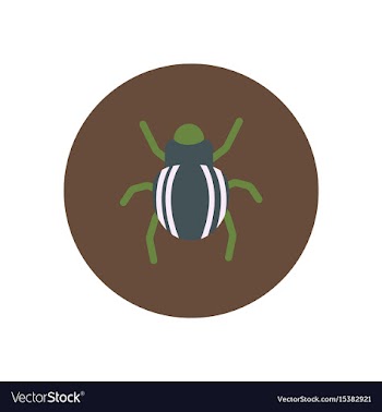 Stylish icon in color circle beetle insect vector image