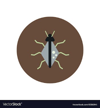 Stylish icon in color circle beetle insect vector image