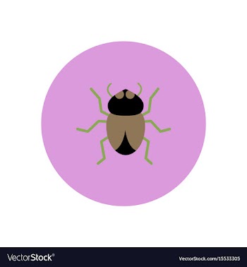 Stylish icon in color circle beetle insect vector image
