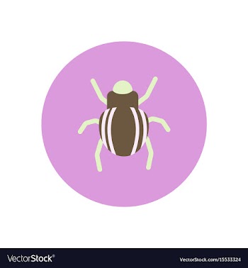Stylish icon in color circle beetle insect vector image