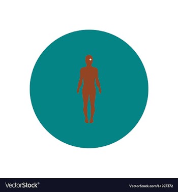 Stylish icon in color circle body eye vector image