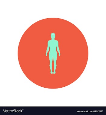 Stylish icon in color circle body stroke vector image