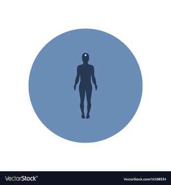 Stylish icon in color circle body stroke vector image