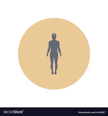 Stylish icon in color circle body stroke vector image