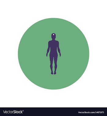 Stylish icon in color circle body stroke vector image