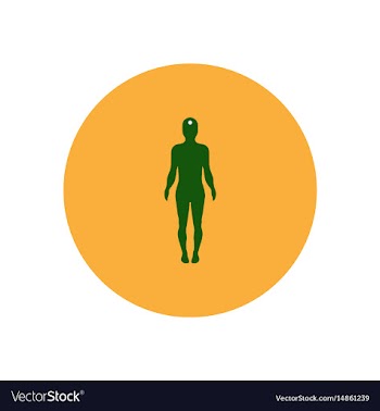 Stylish icon in color circle body stroke vector image