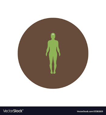Stylish icon in color circle body stroke vector image