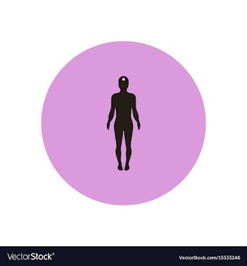 Stylish icon in color circle body stroke vector image