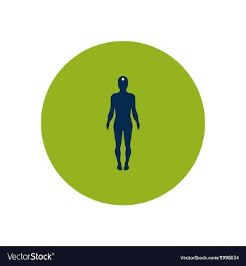 Stylish icon in color circle body stroke vector image