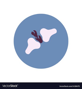Stylish icon in color circle bone fracture vector image