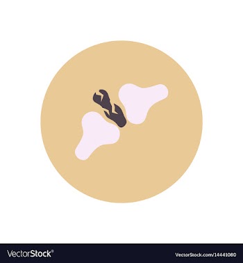 Stylish icon in color circle bone fracture vector image