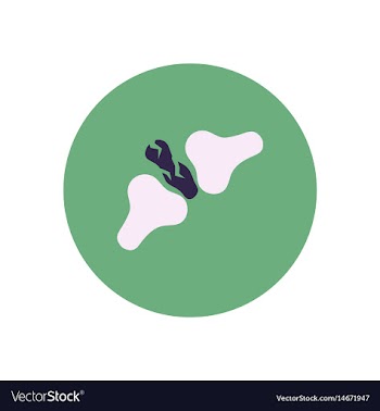 Stylish icon in color circle bone fracture vector image