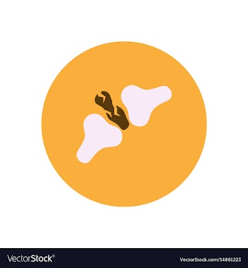 Stylish icon in color circle bone fracture vector image
