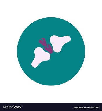 Stylish icon in color circle bone fracture vector image
