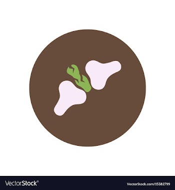 Stylish icon in color circle bone fracture vector image