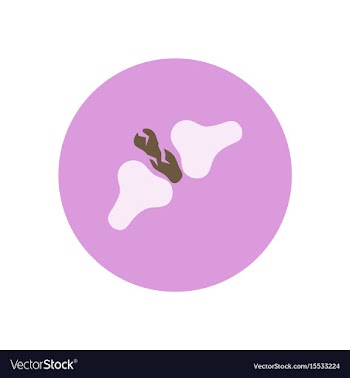 Stylish icon in color circle bone fracture vector image