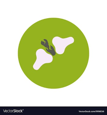 Stylish icon in color circle bone fracture vector image