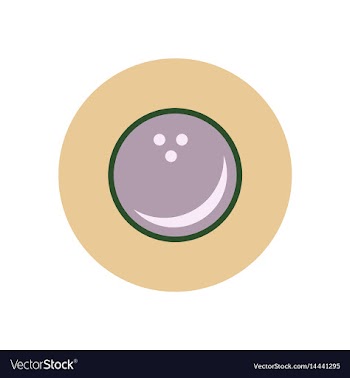 Stylish icon in color circle bowling ball vector image