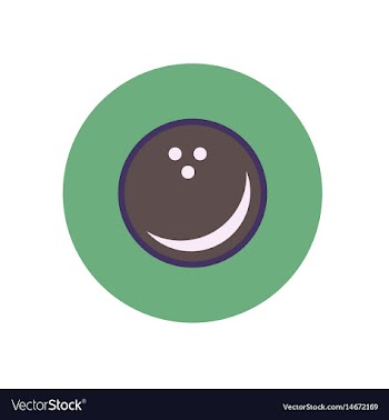 Stylish icon in color circle bowling ball vector image