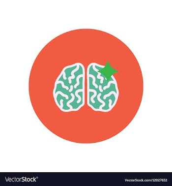 Stylish icon in color circle brain stroke vector image