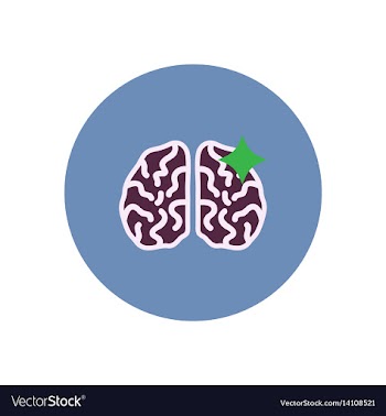 Stylish icon in color circle brain stroke vector image