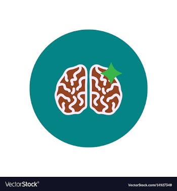 Stylish icon in color circle brain stroke vector image