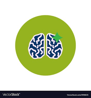 Stylish icon in color circle brain stroke vector image