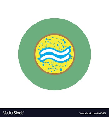 Stylish icon in color circle element zodiac vector image