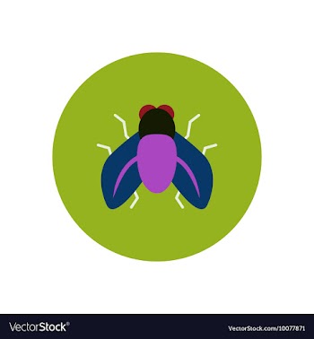 Stylish icon in color circle fly insect vector image