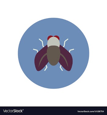 Stylish icon in color circle fly insect vector image