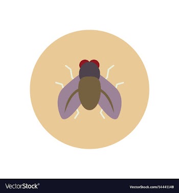 Stylish icon in color circle fly insect vector image