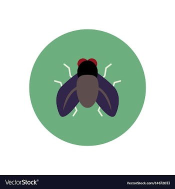 Stylish icon in color circle fly insect vector image
