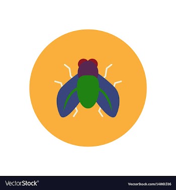 Stylish icon in color circle fly insect vector image