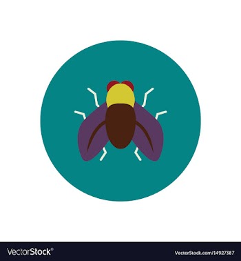 Stylish icon in color circle fly insect vector image