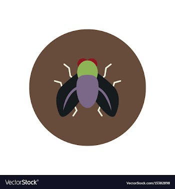 Stylish icon in color circle fly insect vector image
