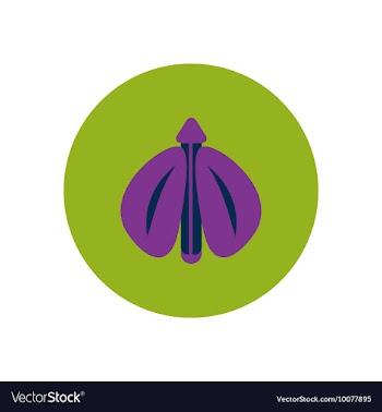 Stylish icon in color circle flying beetle vector image