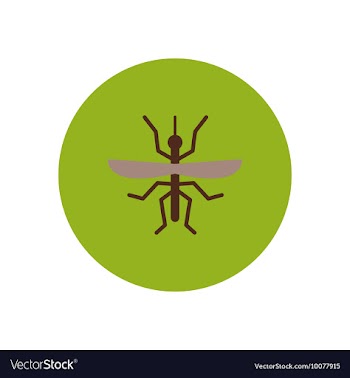 Stylish icon in color circle flying beetle vector image