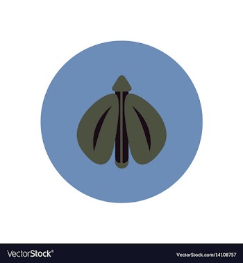 Stylish icon in color circle flying beetle vector image
