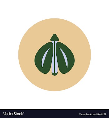 Stylish icon in color circle flying beetle vector image