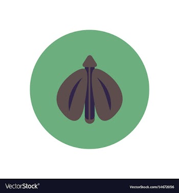 Stylish icon in color circle flying beetle vector image