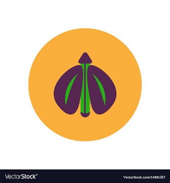 Stylish icon in color circle flying beetle vector image
